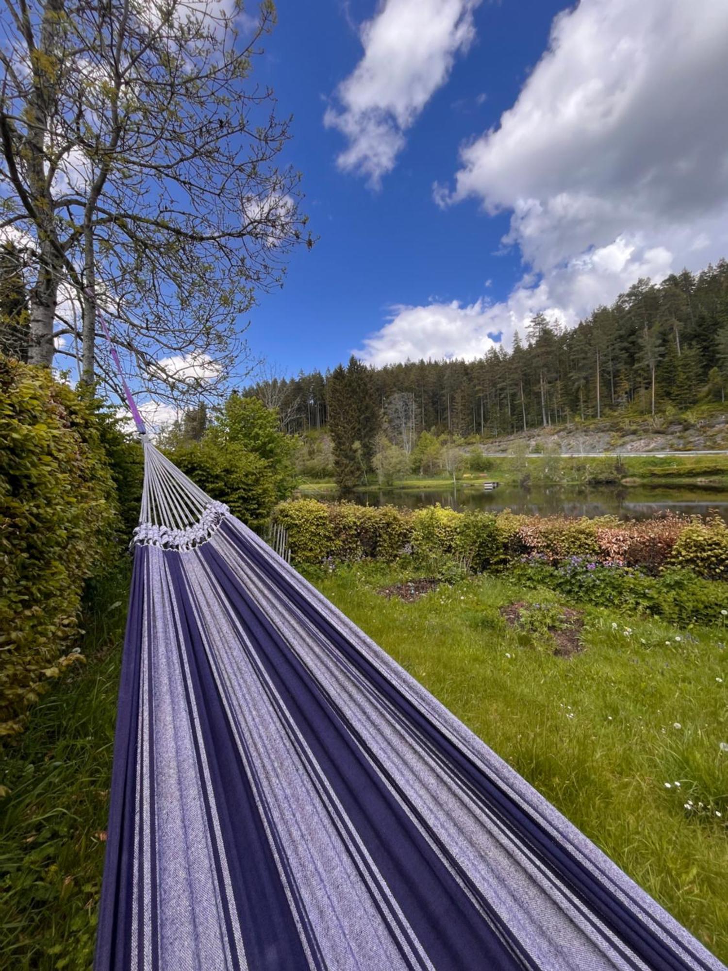 Haus Am See - Natur Pur Friedenweiler Екстериор снимка