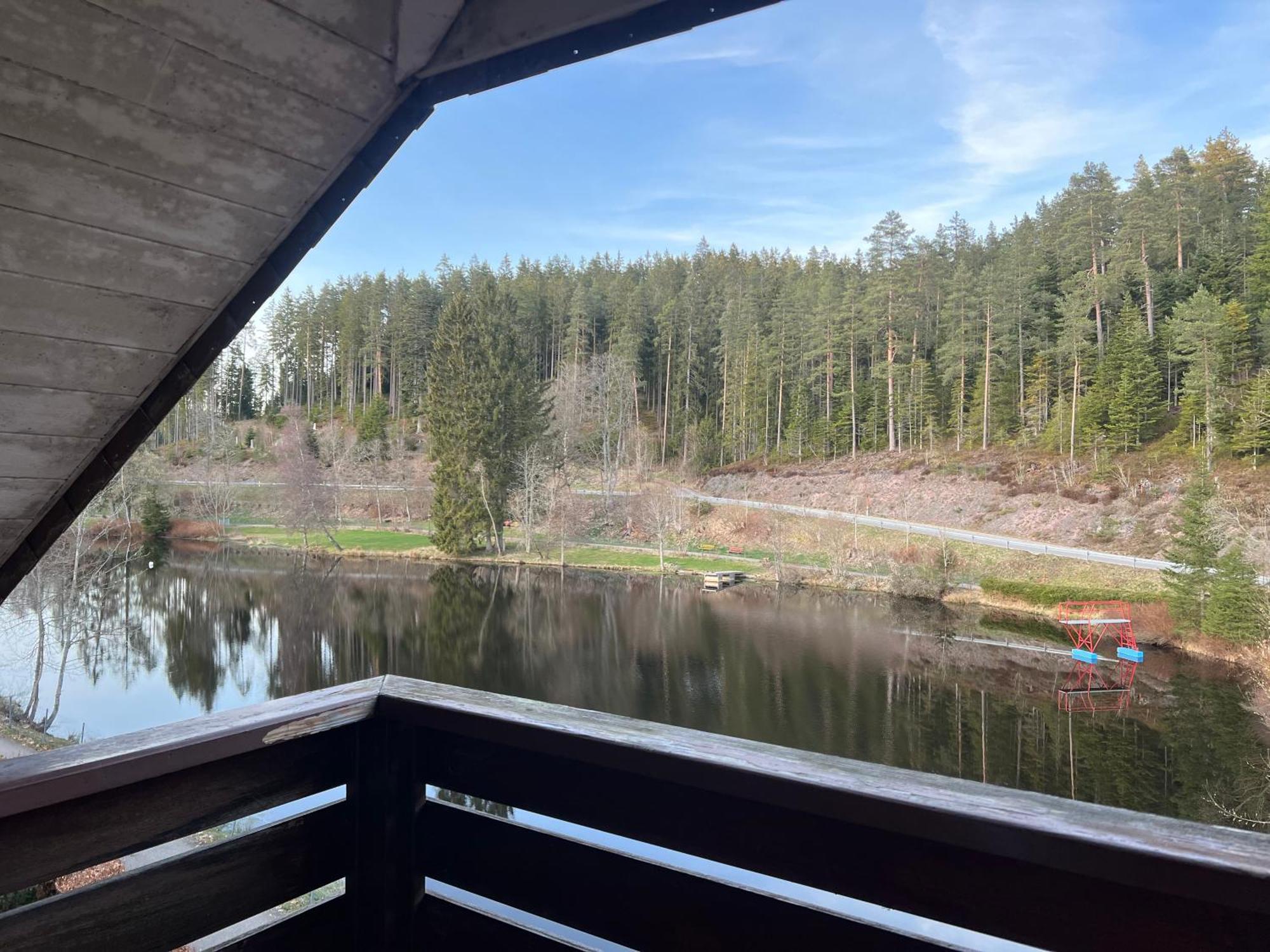 Haus Am See - Natur Pur Friedenweiler Екстериор снимка
