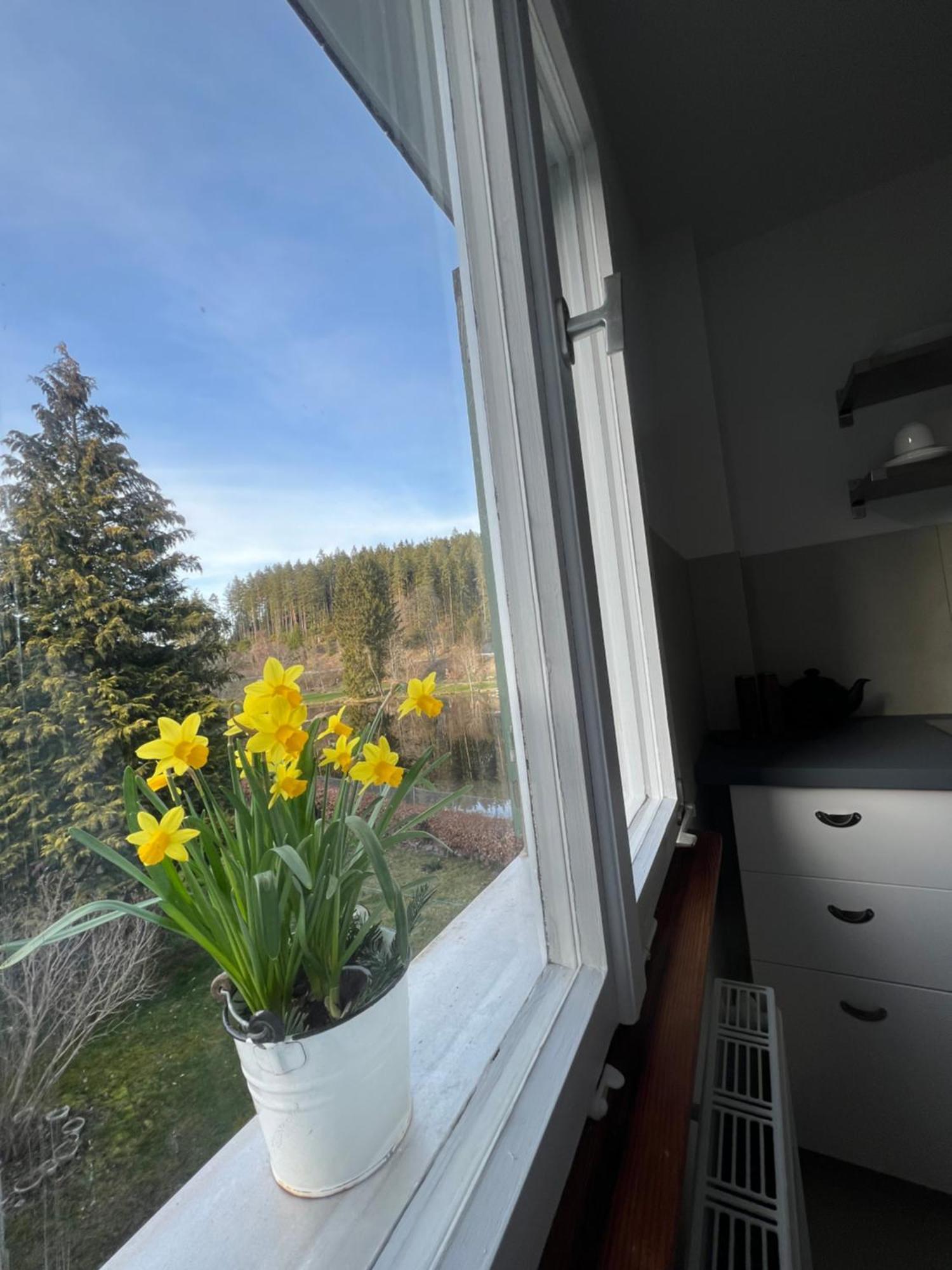 Haus Am See - Natur Pur Friedenweiler Екстериор снимка