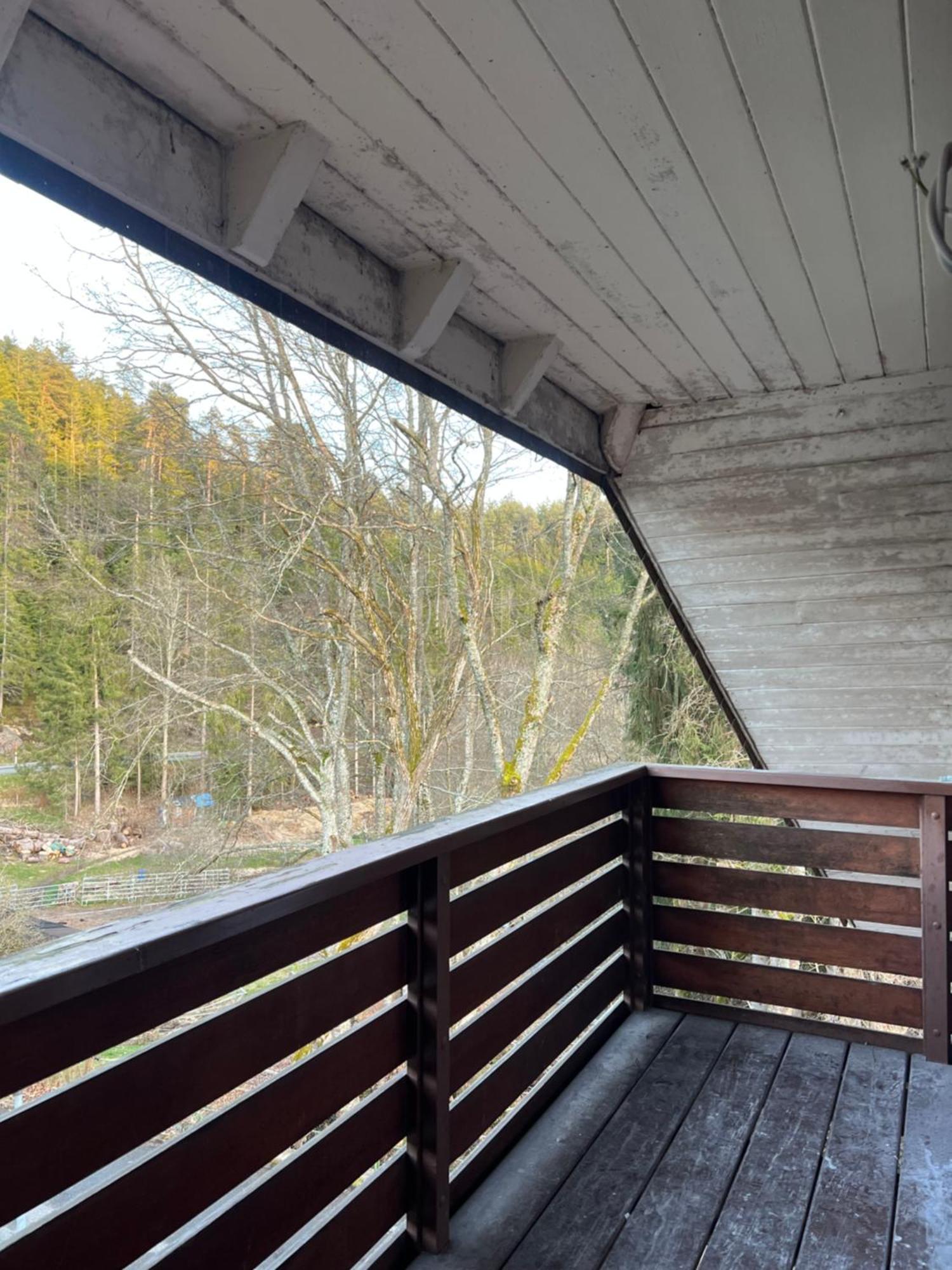 Haus Am See - Natur Pur Friedenweiler Екстериор снимка