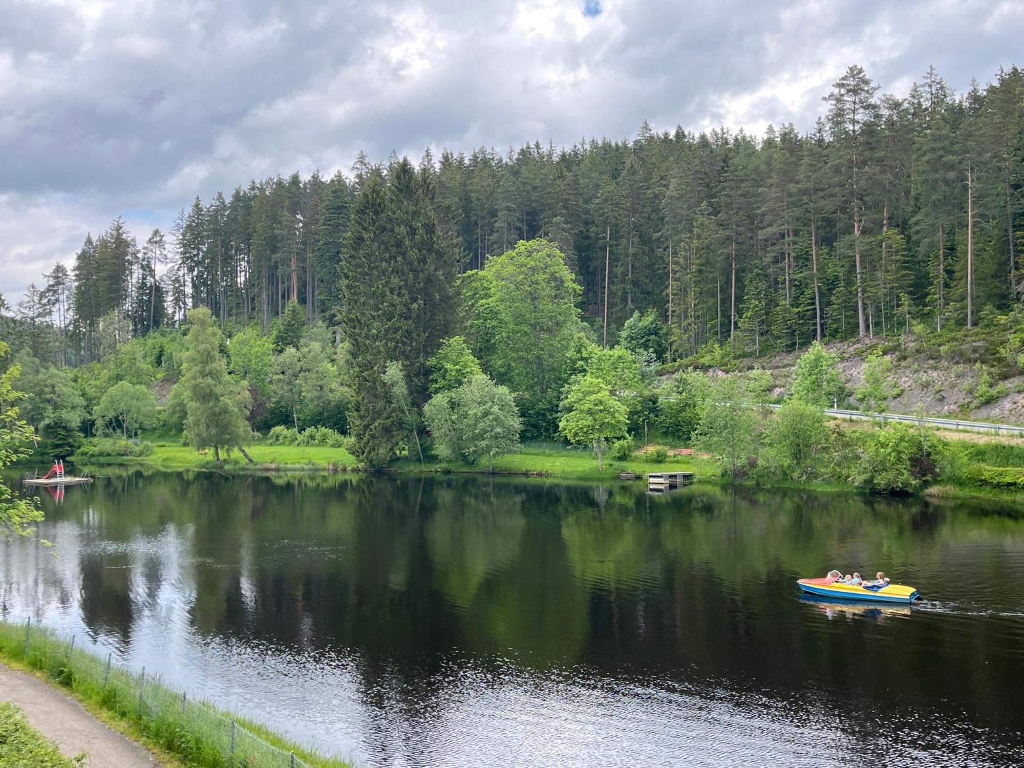 Haus Am See - Natur Pur Friedenweiler Екстериор снимка