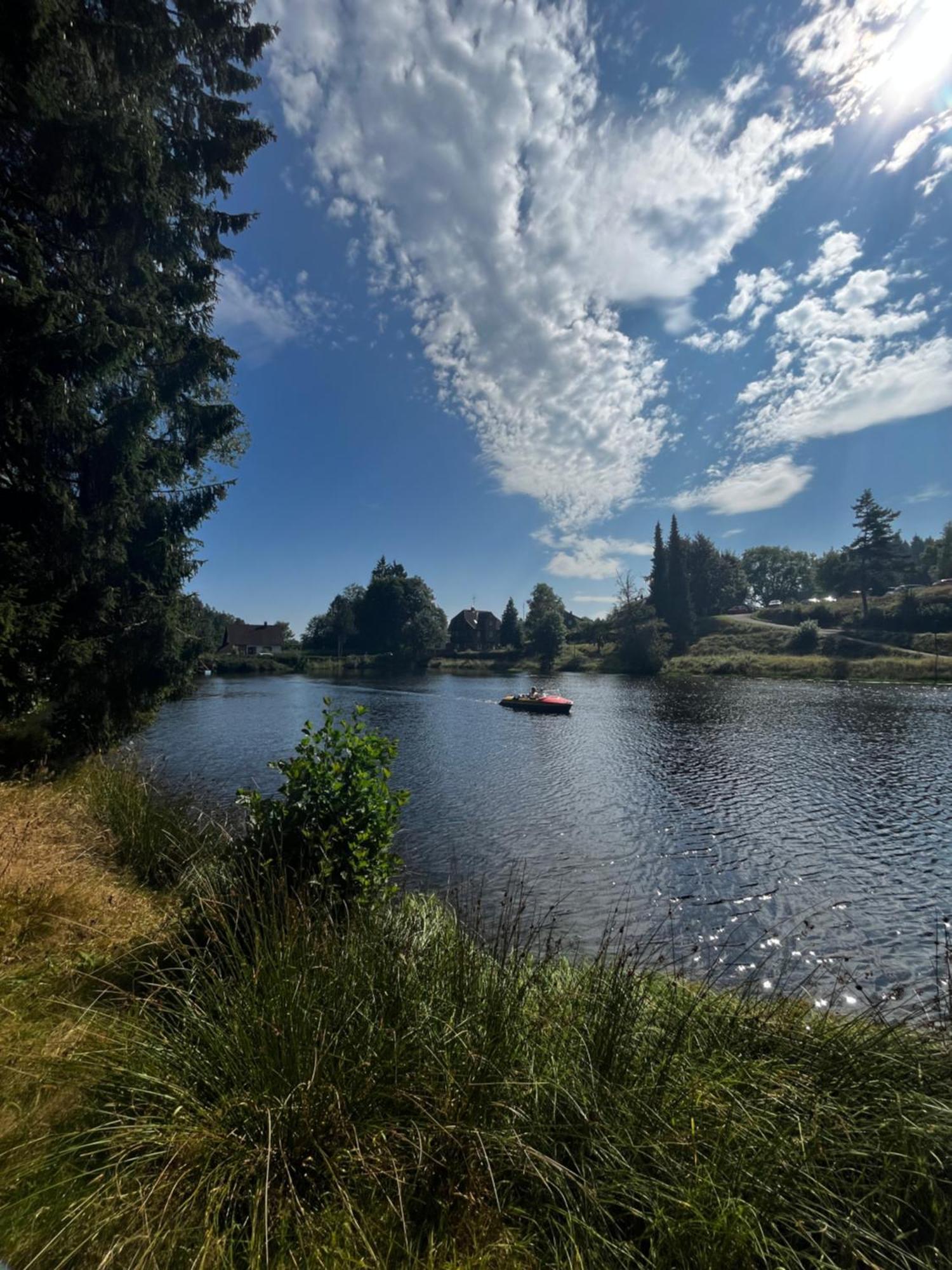Haus Am See - Natur Pur Friedenweiler Екстериор снимка