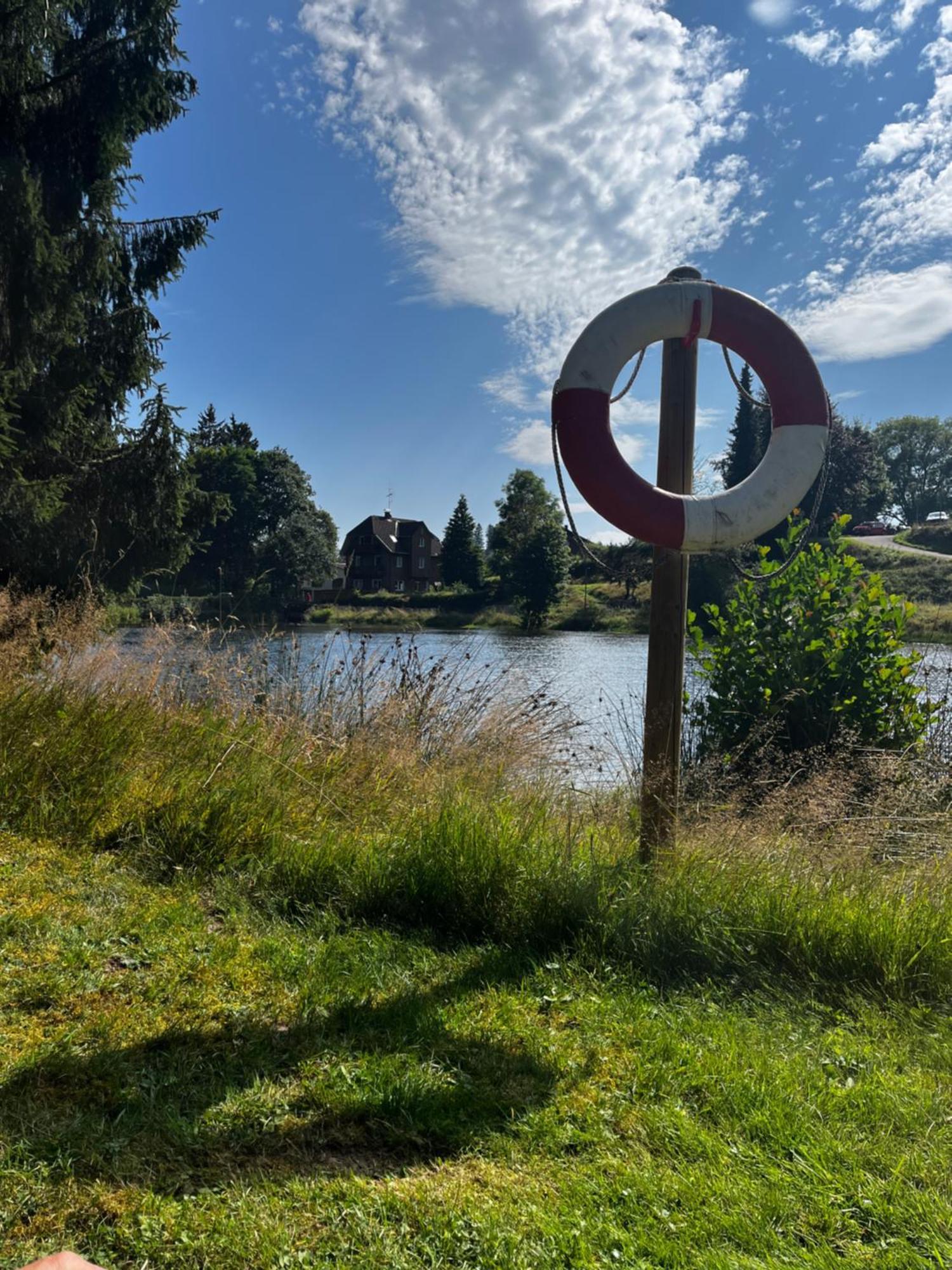 Haus Am See - Natur Pur Friedenweiler Екстериор снимка