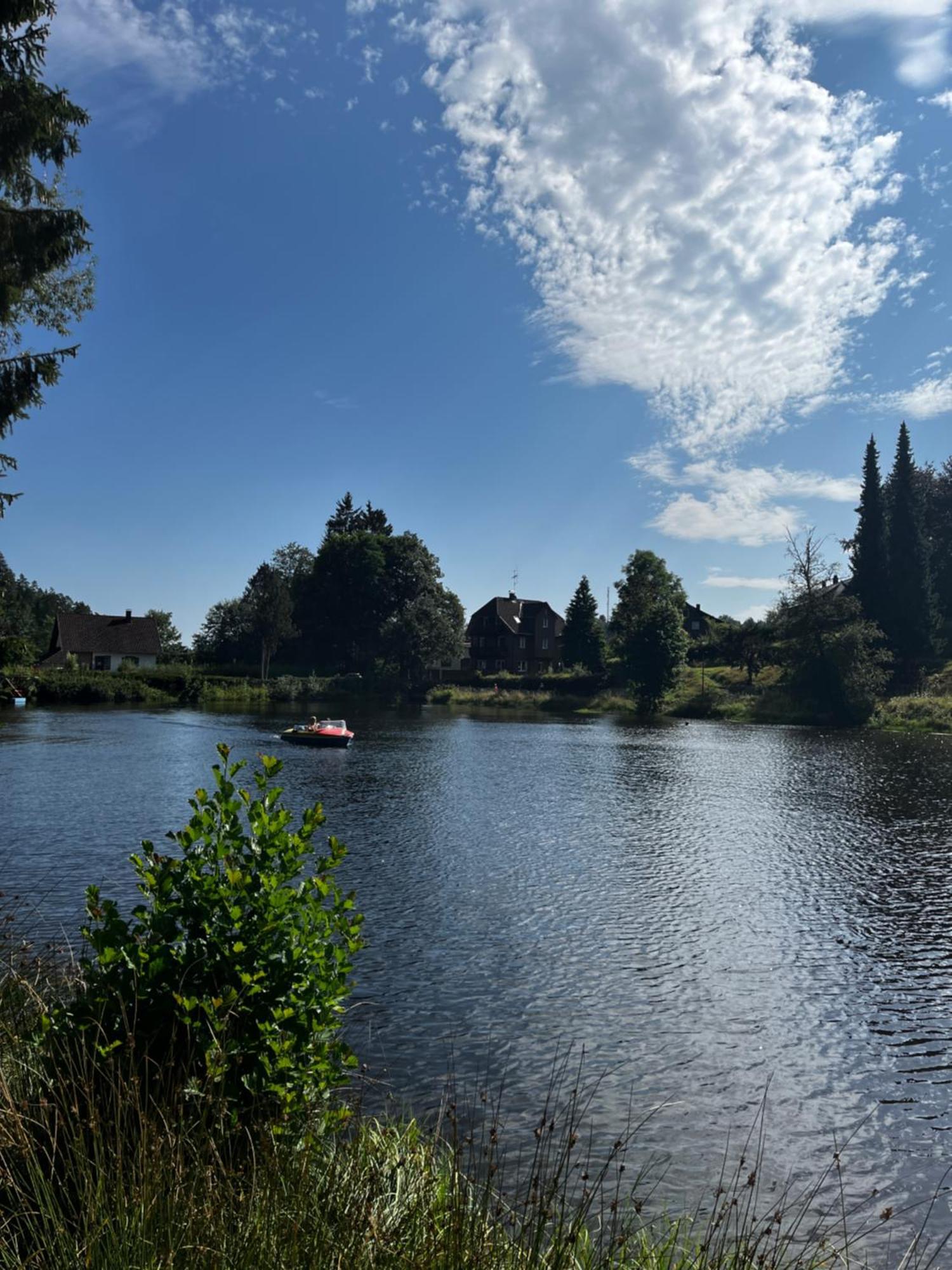 Haus Am See - Natur Pur Friedenweiler Екстериор снимка
