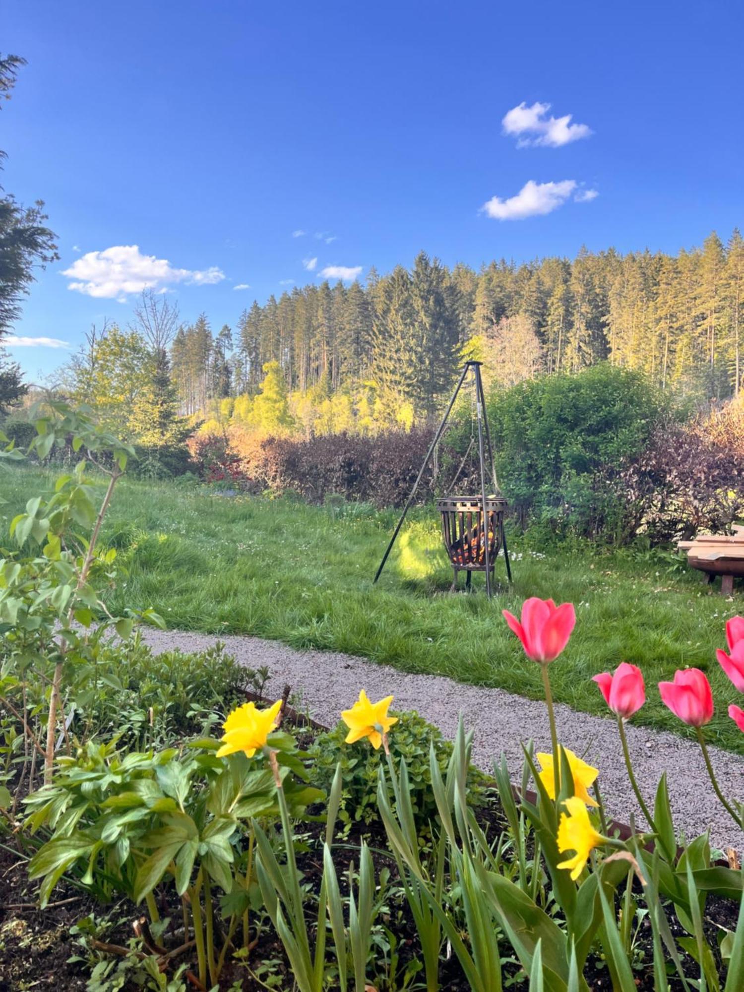 Haus Am See - Natur Pur Friedenweiler Екстериор снимка