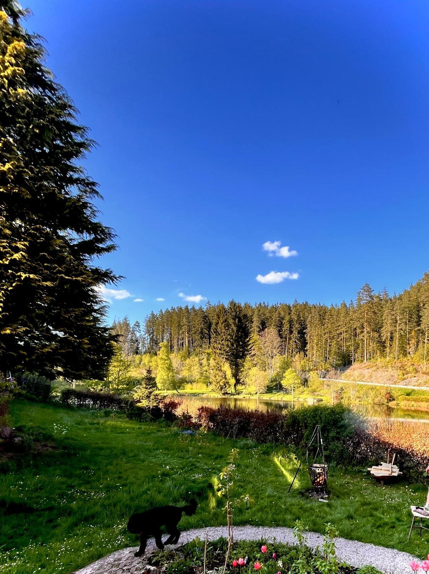 Haus Am See - Natur Pur Friedenweiler Екстериор снимка